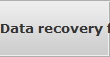 Data recovery for Pine Creek data